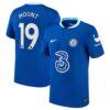 8506 MAILLOT CHELSEA DOMICILE MOUNT 2022 2023