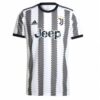 8605 MAILLOT JUVENTUS POGBA DOMICILE 2022 2023