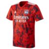 8990 MAILLOT OLYMPIQUE LYONNAIS EXTERIEUR 2022 2023