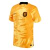 10501 MAILLOT PAYS BAS DOMICILE 2022 2023