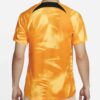 10673 MAILLOT PAYS BAS DOMICILE 2022 2023